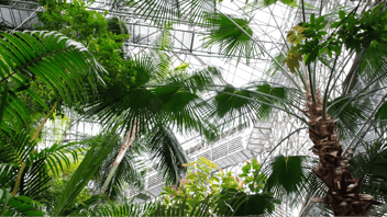 Biophilia, indoor garden in school